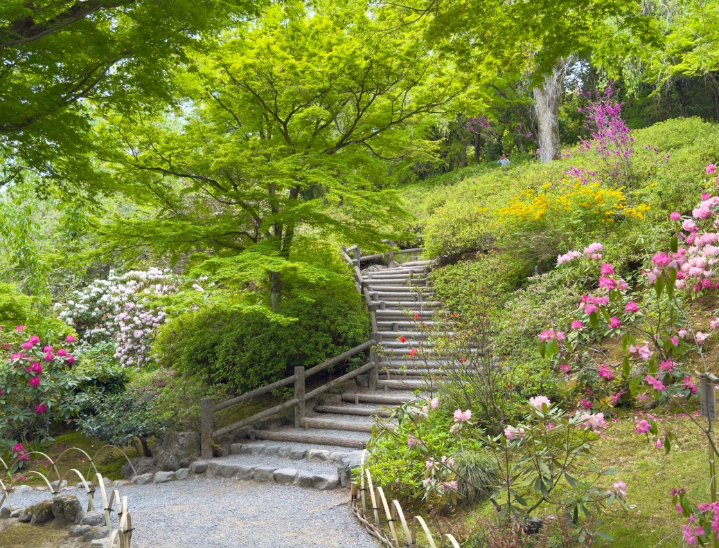 天龍寺　曹源池庭園